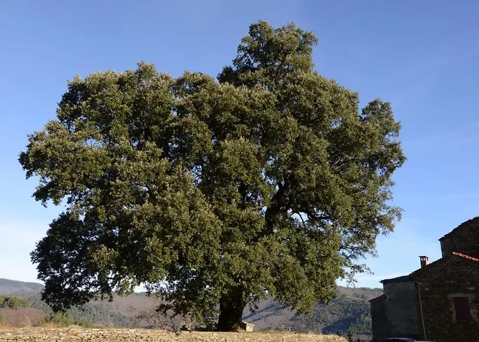 La Vallee De Gaia 3*